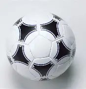 广东,力克山东荣,获金牌,海星体育直播在线,海星体育直播tv官网,海星体育直播app下载,海星体育直播平台