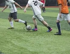 灰熊神助攻,莫熊今日助,国王,海星体育直播在线,海星体育直播tv官网,海星体育直播app下载,海星体育直播平台