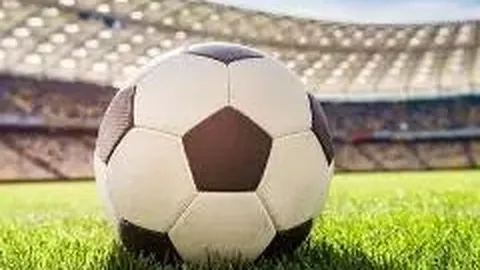 海星体育直播app下载 资讯 094152 d23