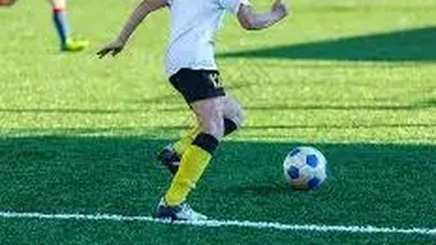 海星体育直播app下载 产品 094239 hox