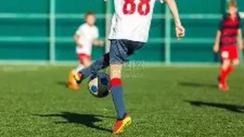 海星体育直播app下载 资讯 094435 wtp