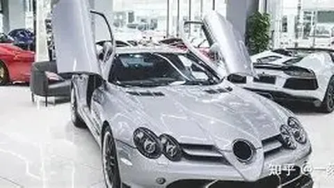 月度运动员特辑：意大利武术巨星达里奥·斯泰卢蒂：武术人生，梦想翱翔