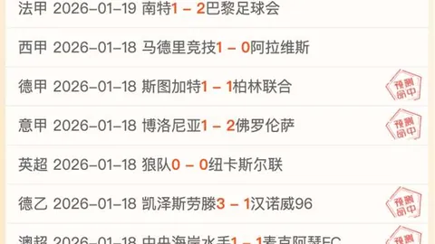 西足协主席：高度关注奥尔莫，注册讨论尚早